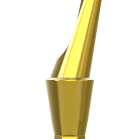 bonturi